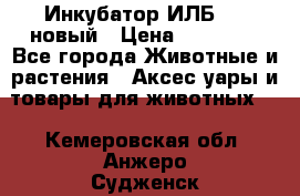 Инкубатор ИЛБ-0,5 новый › Цена ­ 35 000 - Все города Животные и растения » Аксесcуары и товары для животных   . Кемеровская обл.,Анжеро-Судженск г.